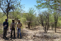 WhatsApp-Image-2020-05-14-at-21.00.02