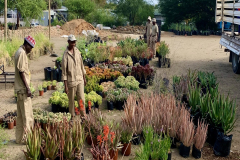 windhoeknursery1