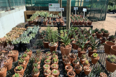 windhoeknursery2